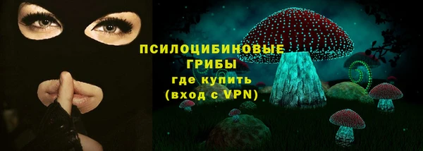 ПСИЛОЦИБИНОВЫЕ ГРИБЫ Сосновоборск